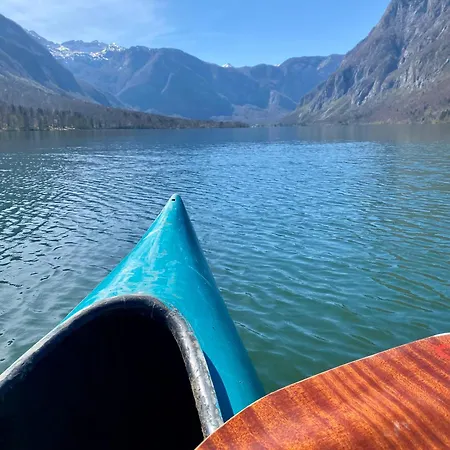 Апартаменты Iris